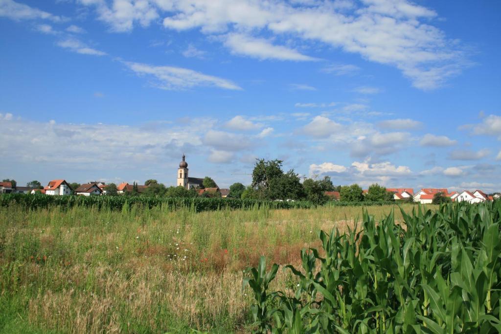 Odas Feriendomizil Europapark Kappel-Grafenhausen Luaran gambar